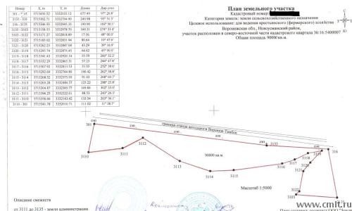 Продаю участок 9га вдоль трассы Воронеж-Тамбов. Фото 1.