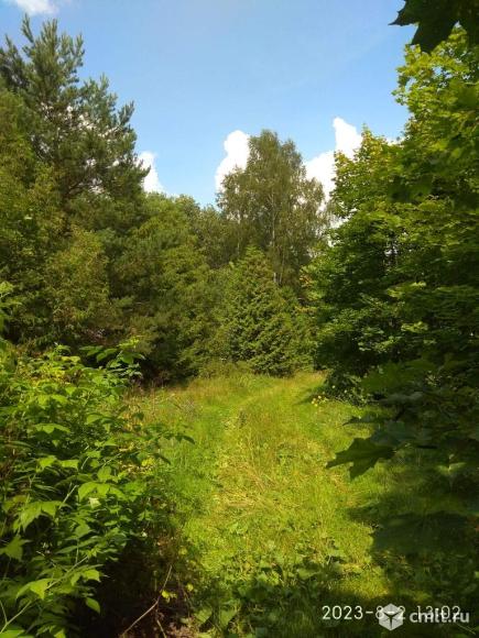 База отдыха «Лукоморье». Фото 19.