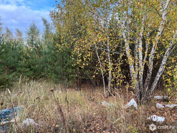 Участок 9 сот.. Фото 1.