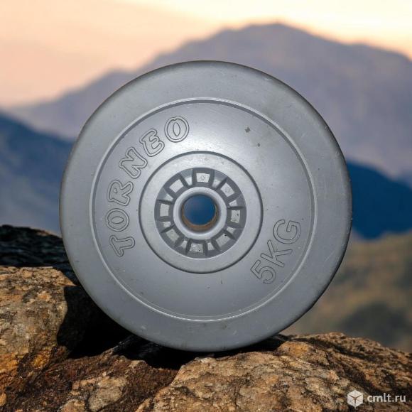 Блины Torneo в пластиковом корпусе 5 кг 2шт. Фото 1.