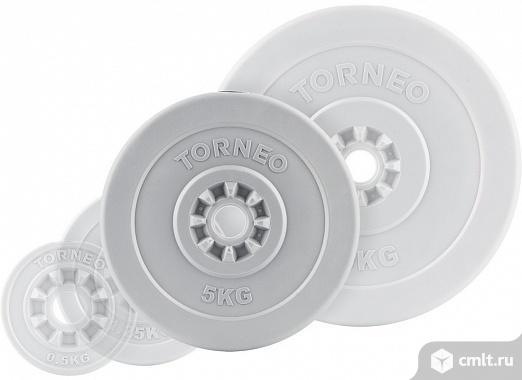 Блины Torneo в пластиковом корпусе 5 кг 2шт. Фото 2.