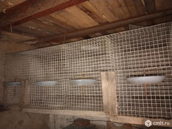 Продам клетки. Фото 1.