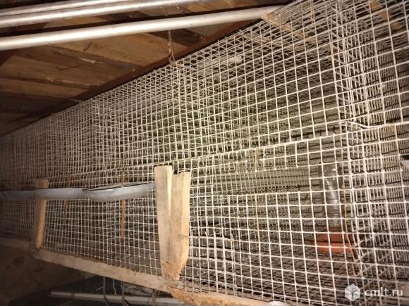 Продам клетки. Фото 2.