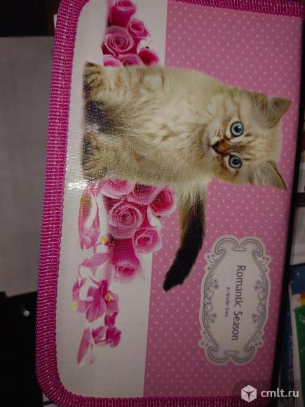 Пиналы для школы. Фото 1.