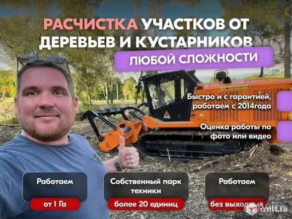 Расчистка заросших полей от деревьев от 1 Га. Фото 1.