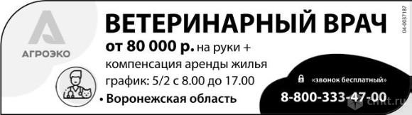 Ветеринарный Врач,