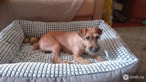 Вязка. Фото 1.