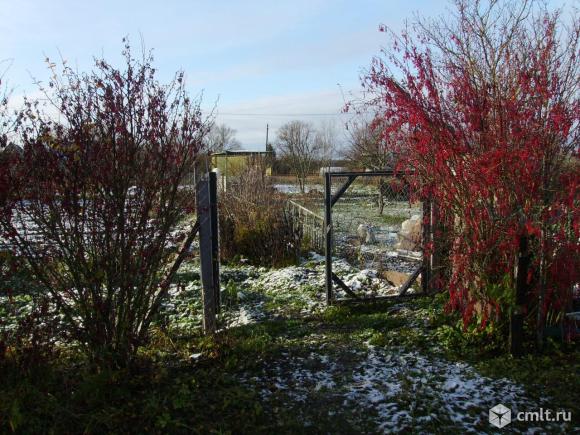 Участок 10 сот.. Фото 1.