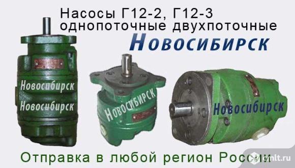Насосы Г12-3., Г12-2., пластинчатые. (Габарит 2+1). Фото 1.
