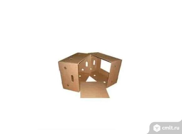 Коробка для котят. Фото 1.