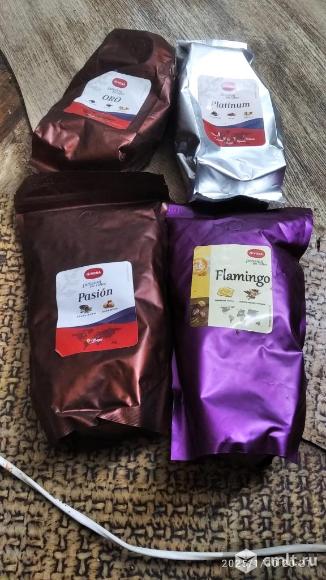 Кофе в зернах. Фото 1.