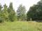 Участок 356 сот.. Фото 7.