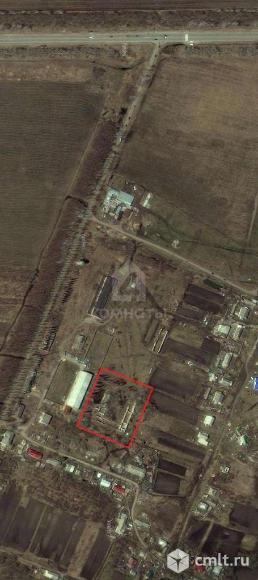 Участок 71,5 сот.. Фото 5.