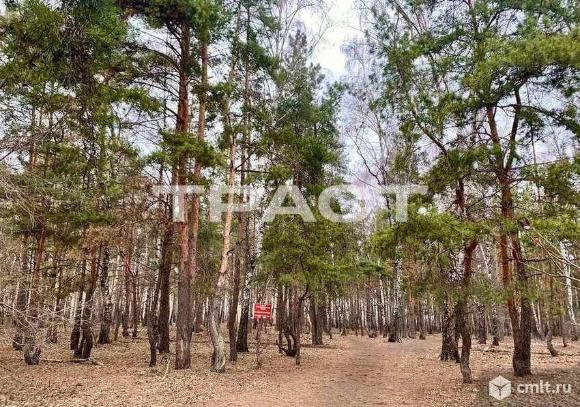 2-комнатная квартира 54 кв.м. Фото 16.