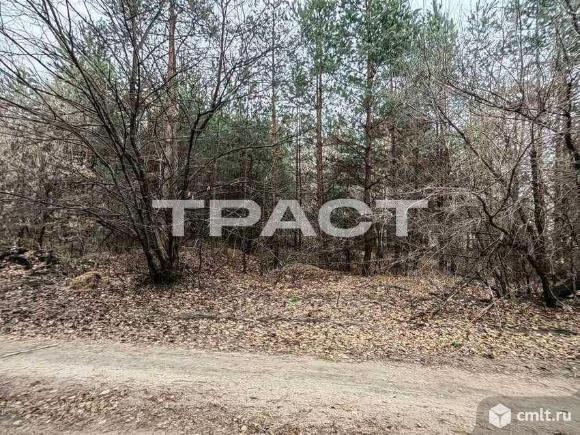 Участок 8 сот.. Фото 1.