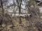Участок 10 сот.. Фото 3.