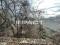 Участок 10 сот.. Фото 9.