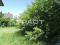 Участок 8 сот.. Фото 5.