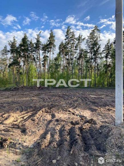 Участок 8,67 сот.. Фото 1.