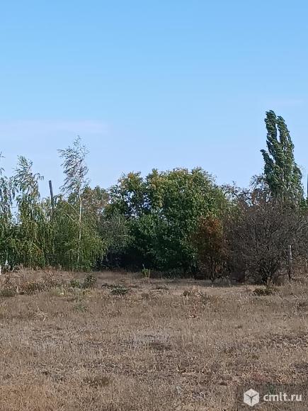 Участок для дачи в дар приму. Фото 1.