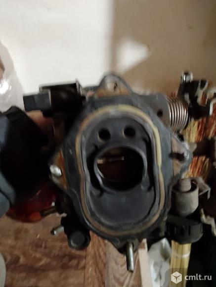 Моновпрыск. Фото 3.