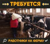 помощник по хозяйству, ферма, животные, проживание, питание