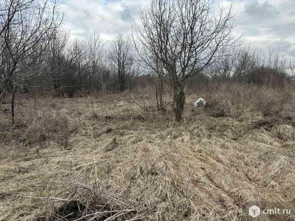 Участок 8,99 сот.. Фото 8.