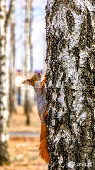 Дом 168 кв.м. Фото 20.