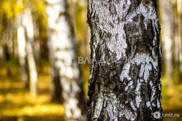 Дом 205 кв.м. Фото 17.