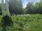 Участок 21 сот.. Фото 10.