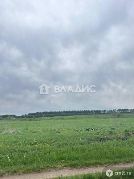 Участок 500 сот.. Фото 1.