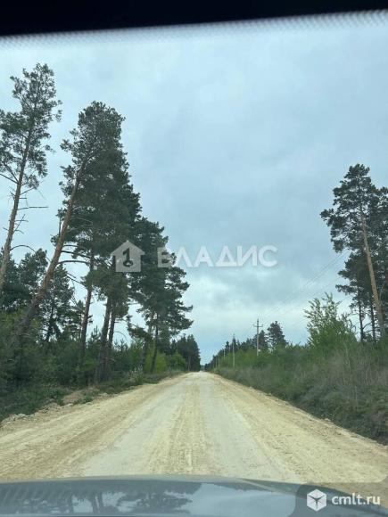 Участок 500 сот.. Фото 6.