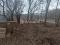 Участок 5 сот.. Фото 4.