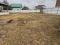 Участок 9 сот.. Фото 5.