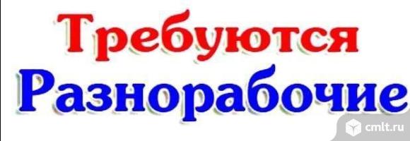 требуются разнорабочие