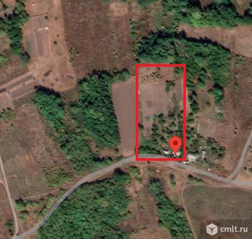 Участок 50 сот.. Фото 1.