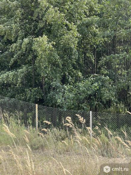 Участок 35 сот.. Фото 4.