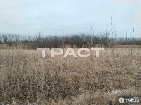 Участок 10 сот.. Фото 1.