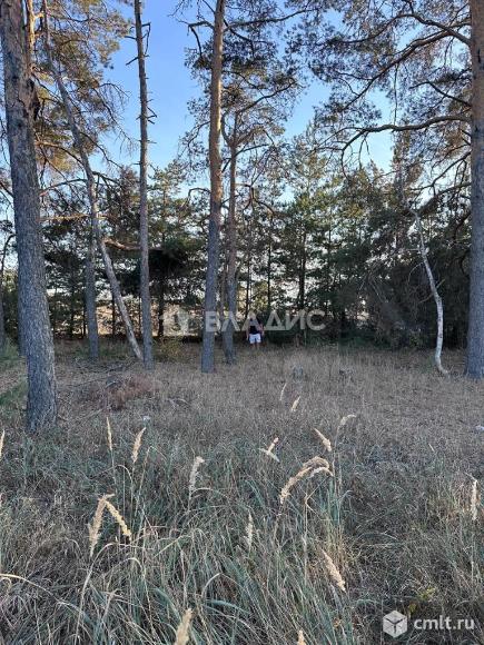 Участок 10 сот.. Фото 3.