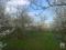 Участок 17 сот.. Фото 2.