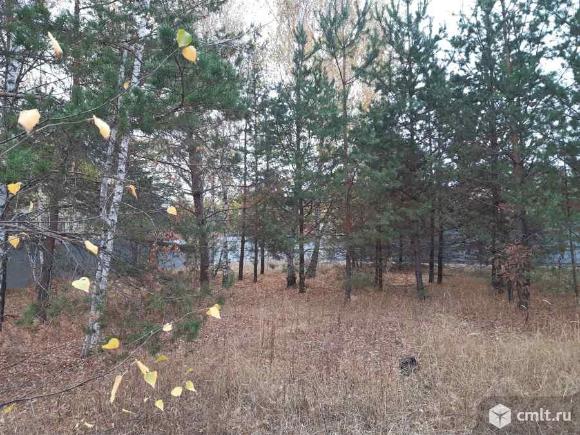 Участок 10 сот.. Фото 1.