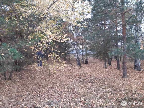 Участок 10 сот.. Фото 6.