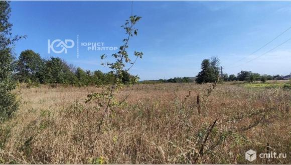 Участок 43 сот.. Фото 1.