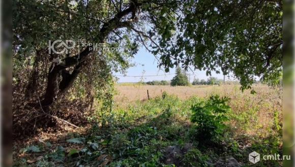 Участок 43 сот.. Фото 10.