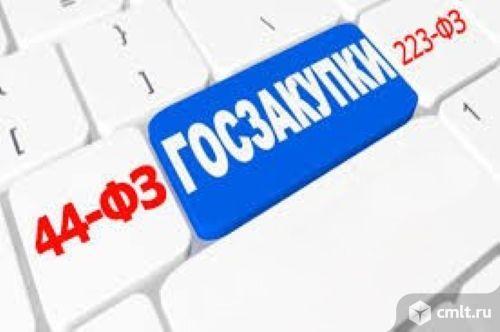 Услуги юриста по госзакупкам. Тендерное сопровождение под ключ в Москве. Фото 1.