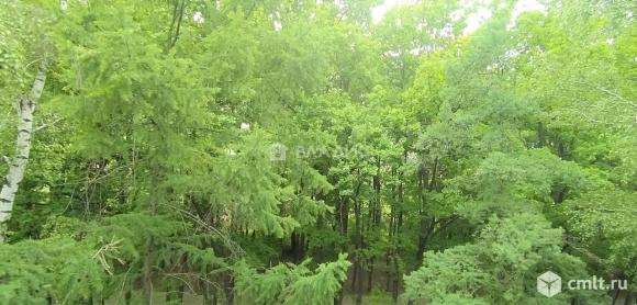 3-комнатная квартира 55 кв.м. Фото 19.