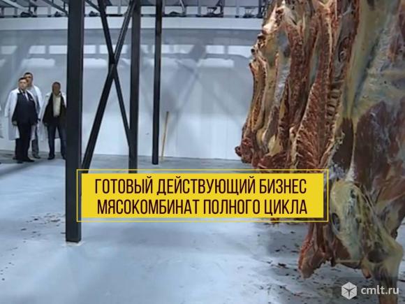 Готовый бизнес Мясокомбинат полного цикла. Фото 1.