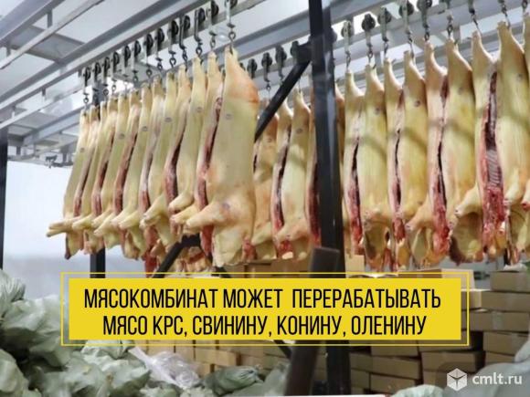 Готовый бизнес Мясокомбинат полного цикла. Фото 7.