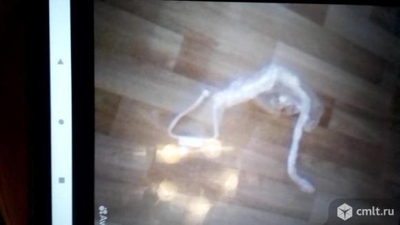 Запчасти для кондиционера. Фото 1.