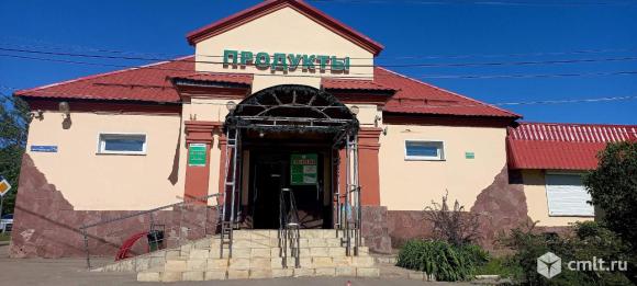 Торговое помещение 243.7 м2 в аренду. Фото 2.